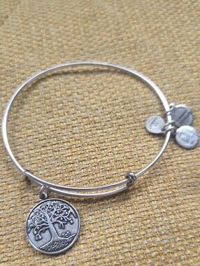2/$15 Alex And Ani Tree Of Life Silver Bracelet And Charm